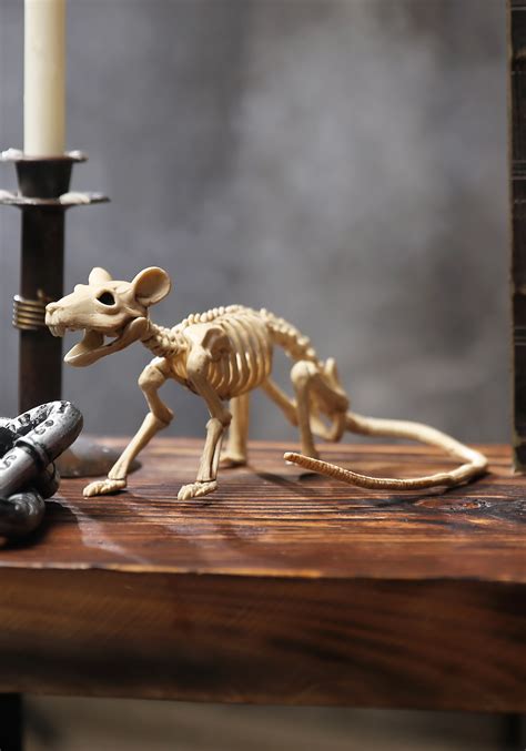 halloween skeleton rat